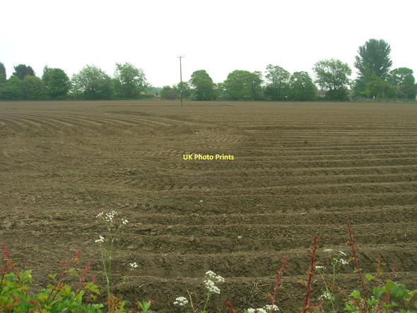 Photo 6"x4" Farmland, Temple Hirst Hirst Courtney c2011