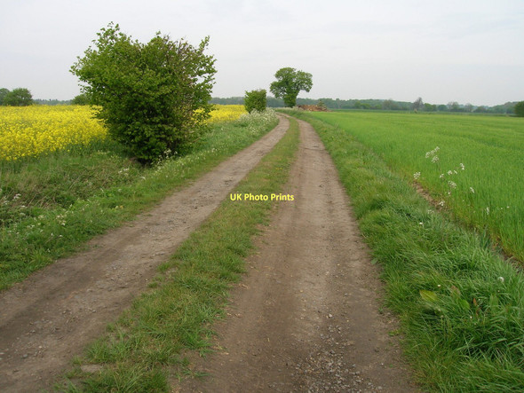 Photo 6"x4" Farm track off Birkin Road Gateforth c2011