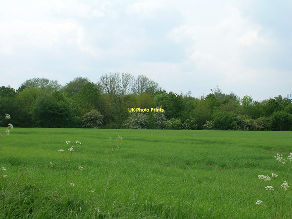 Photo 6"x4" Farmland near Birkin Birkin c2011