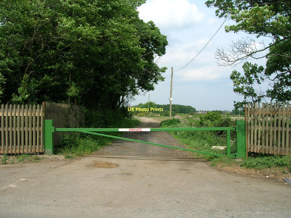 Photo 6"x4" Track to Byram Farm Knottingley c2011