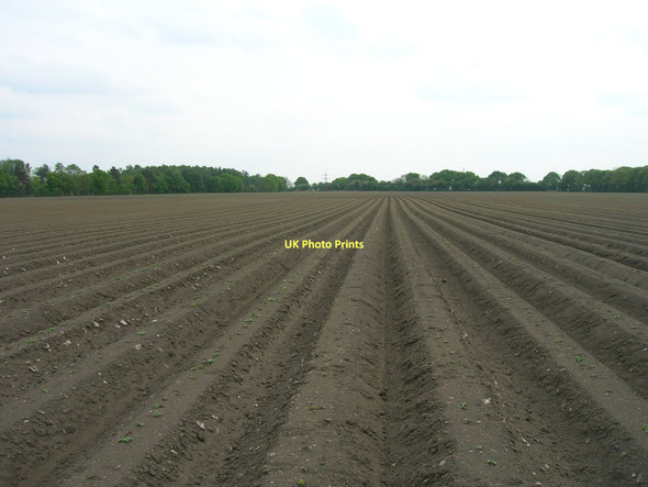Photo 6"x4" Farmland off Hillam Road Gateforth c2011