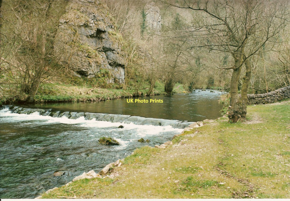 Photo 6"x4" River Dove Thorpe\/SK1550 c1999