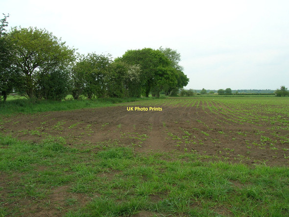 Photo 6"x4" Farmland near Meadow View Farm Thorpe Willoughby c2011