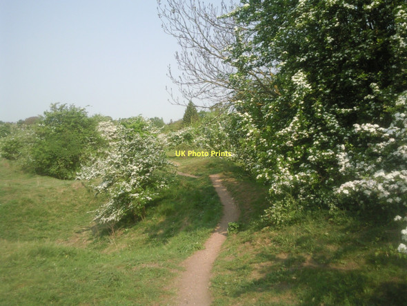 Photo 6"x4" Barnack Hills and Holes National Nature Reserve Barnack c2011
