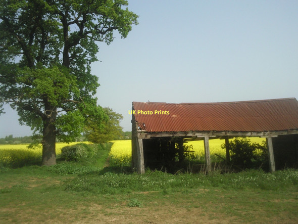 Photo 6"x4" Derelict barn near Pilsgate Pilsgate c2011