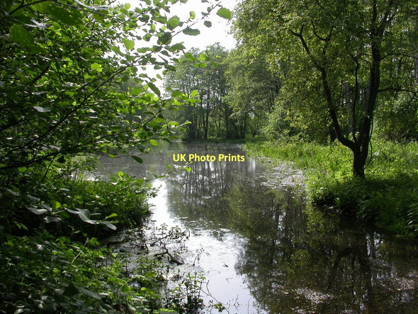 Photo 6"x4" Kingston, lake Ringwood\/SU1505 c2011