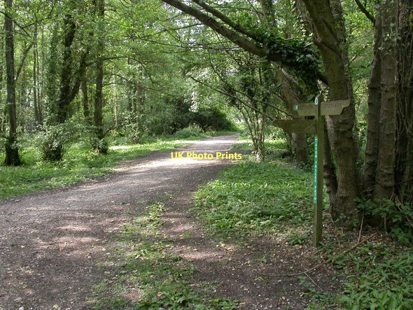 Photo 6"x4" Kingston, Avon Valley Path Ringwood\/SU1505 c2011