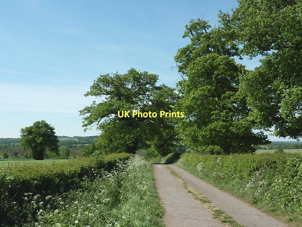 Photo 6"x4" Bridleway to Ashwood, Staffordshire Ashwood\/SO8688 c2011