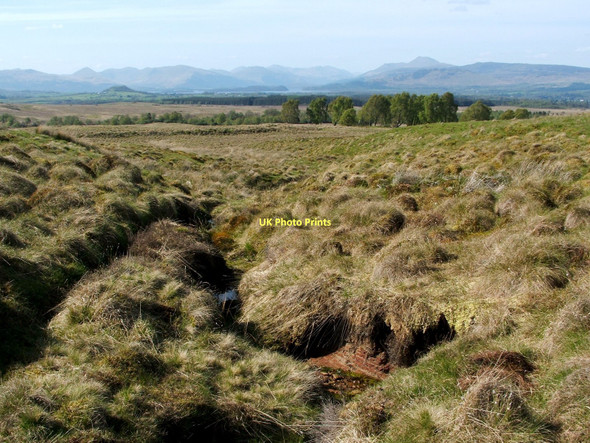 Photo 6"x4" The course of a burn Craighat c2011
