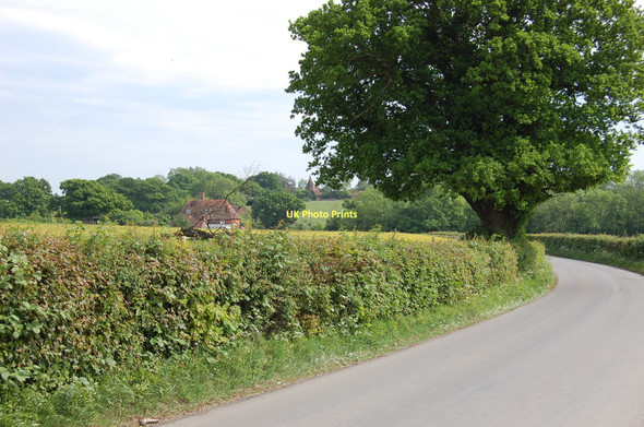 Photo 6"x4" Lane towards Ponts Green Ashburnham Forge c2011