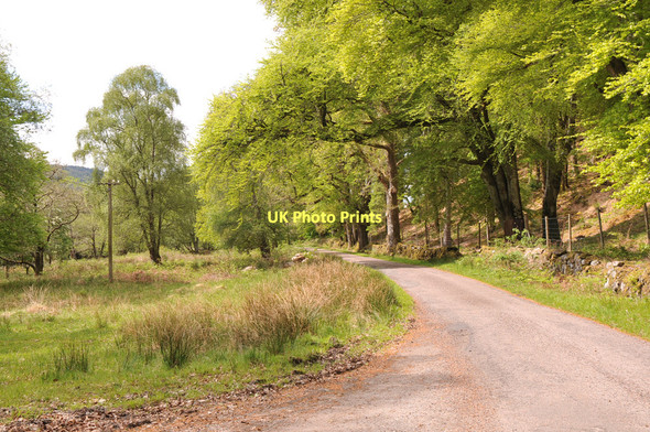 Photo 6"x4" Minor road in Glen Moidart Brunery c2011