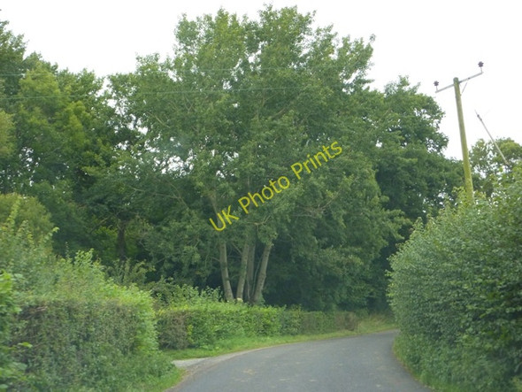 Photo 6"x4" Start of Ashington Wood Mudford Sock c2009