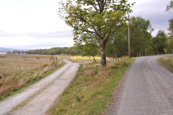 Photo 6"x4" Farm road and minor road near Austinscroft Dalelia c2011
