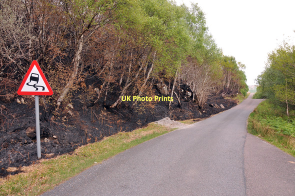 Photo 6"x4" Burnt vegetation beside the B8044 Ardtoe c2011