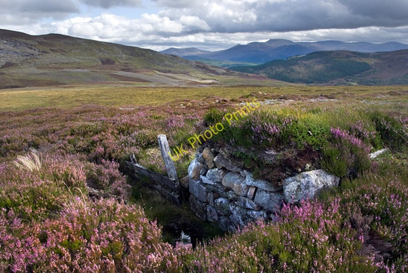Photo 6"x4" Grouse butt near Tom na h-Eilrig Tom na h-Eilrig c2009