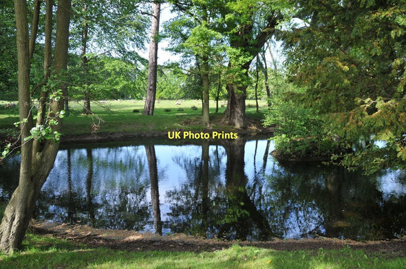 Photo 6"x4" Pond at Kerswell Green Baynhall c2011