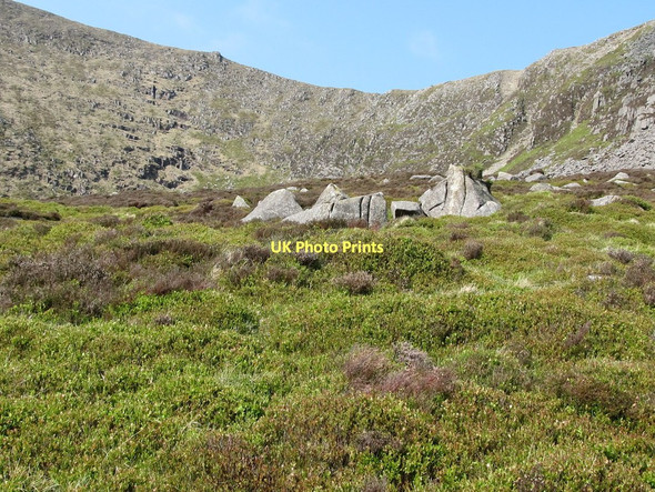 Photo 6"x4" Fraughan bushes on the Pot of Pulgarve moraine Newcastle\/J3732 c2011