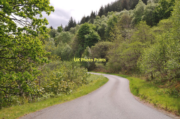 Photo 6"x4" Minor road past Ratagan Forest Ratagan c2011
