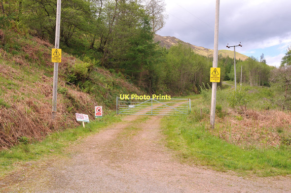Photo 6"x4" Forestry road near Letterfearn Letterfearn c2011