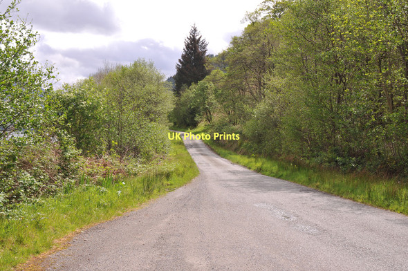 Photo 6"x4" Minor road along the shore of Loch Duich Letterfearn c2011