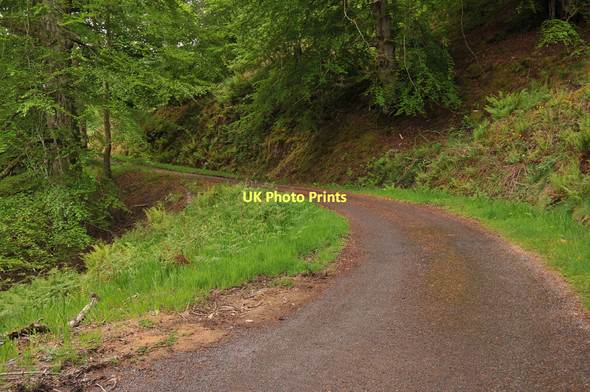 Photo 6"x4" Minor road near Totaig Ardelve c2011