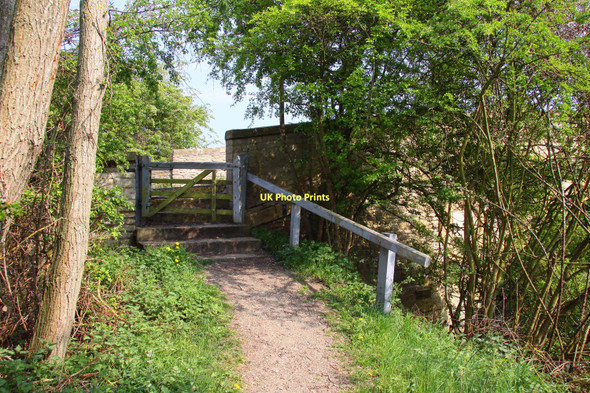 Photo 6"x4" The Thames Path at Tadpole Bridge Buckland Marsh c2011