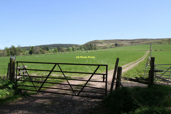 Photo 6"x4" Looking Towards Carlownie Hill Muirton\/NN9211 c2011