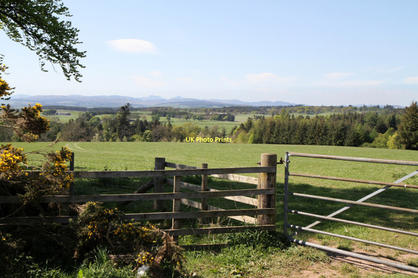Photo 6"x4" Field Beside Duchally Road Muirton\/NN9211 c2011