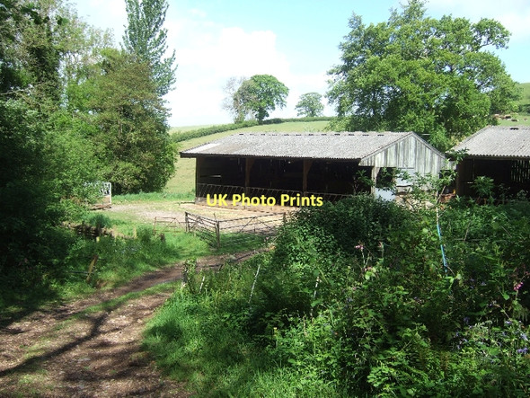Photo 6"x4" Barns at Cawley's Farm Ottery St Mary c2011