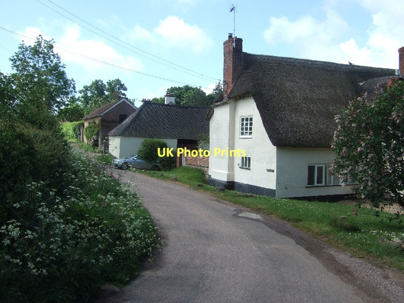 Photo 6"x4" Waxway Farm Coombe\/SY1091 c2011