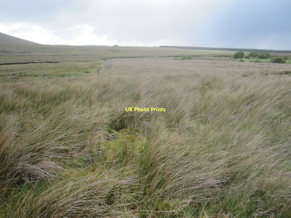 Photo 6"x4" Marshy grassland (or grassy marshland) by the upper Bunowen River Cregganbaun c2011