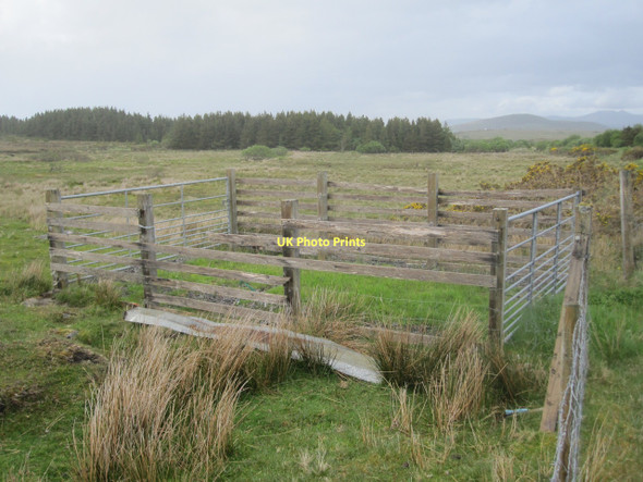Photo 6"x4" Sheep pen, near Tully Cregganbaun c2011