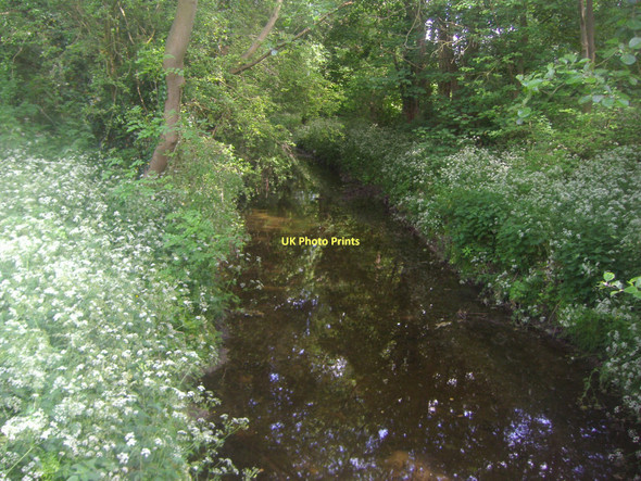 Photo 6"x4" The Hogsmill river, Malden New Malden c2011
