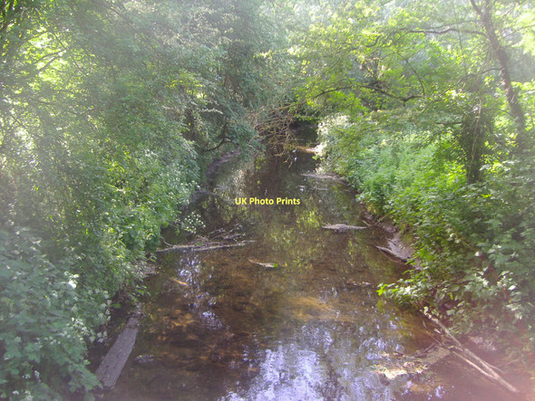Photo 6"x4" The Hogsmill river, Malden New Malden c2011 P1