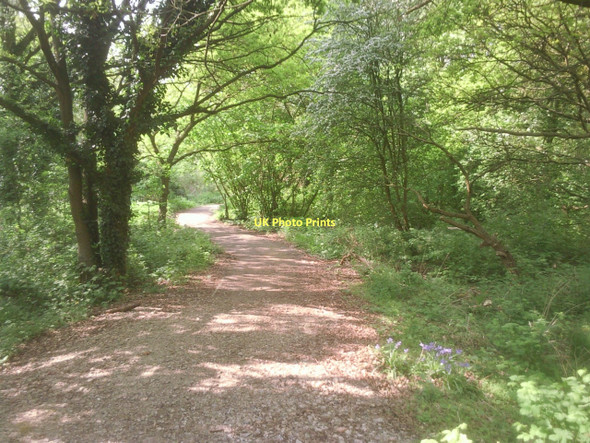 Photo 6"x4" London Loop north of A312 Feltham\/TQ1073 c2011