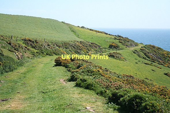 Photo 6"x4" Newton and Noss: by East Hollicombes Noss Mayo c2011