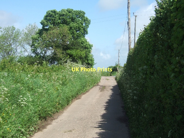 Photo 6"x4" Fire Beacon Lane Coombe\/SY1091 c2011