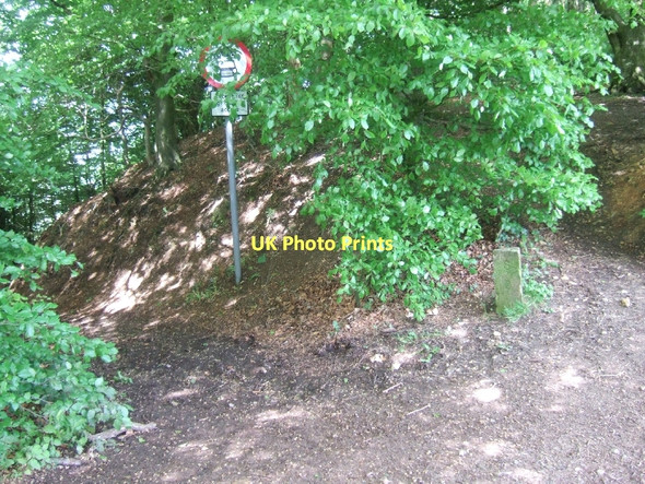 Photo 6"x4" Boundary stone on East Hill  Coombe\/SY1091 c2011