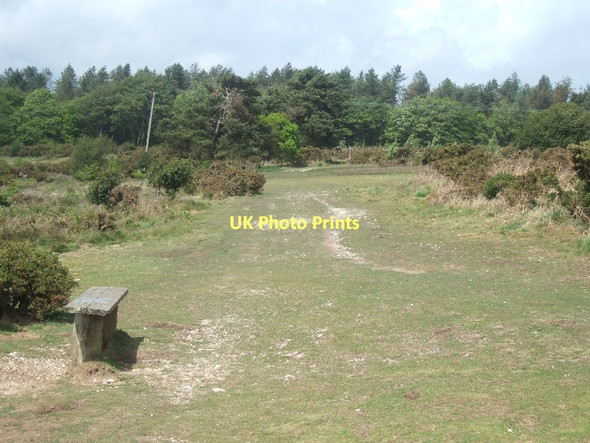 Photo 6"x4" Bench on Harpford Common Bowd\/SY1090 c2011