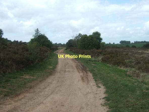 Photo 6"x4" Track crossing Harpford Common Goosemoor\/SY0689 c2011