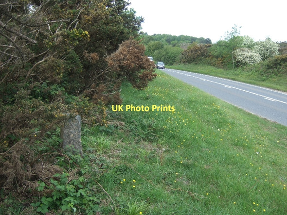 Photo 6"x4" A3052 and a boundary stone Goosemoor\/SY0689 c2011