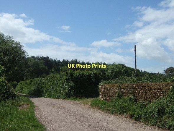 Photo 6"x4" Wall and minor road southwest of Stowford Hawkerland c2011