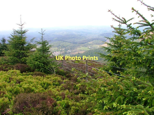 Photo 6"x4" Fence, Creag Dhubh Aberfoyle c2011