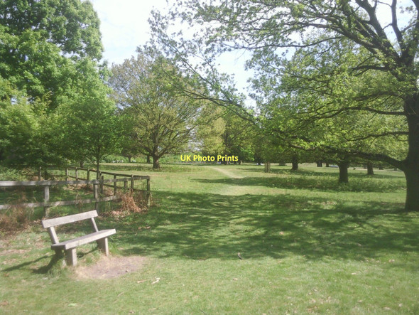 Photo 6"x4" Richmond Park near Broomfield Hill Kingston Upon Thames c2011