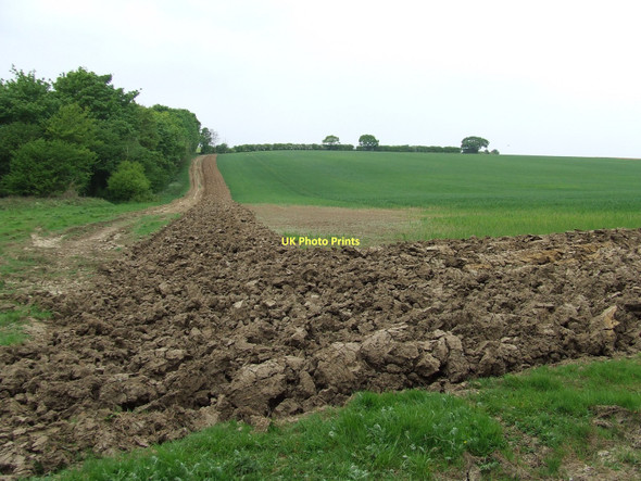 Photo 6"x4" Ploughed Field Bridge Street c2011