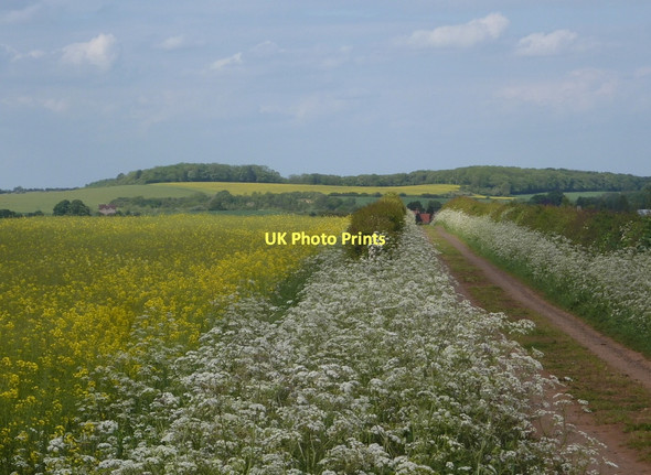 Photo 6"x4" By Whitwell Road Darfoulds c2011