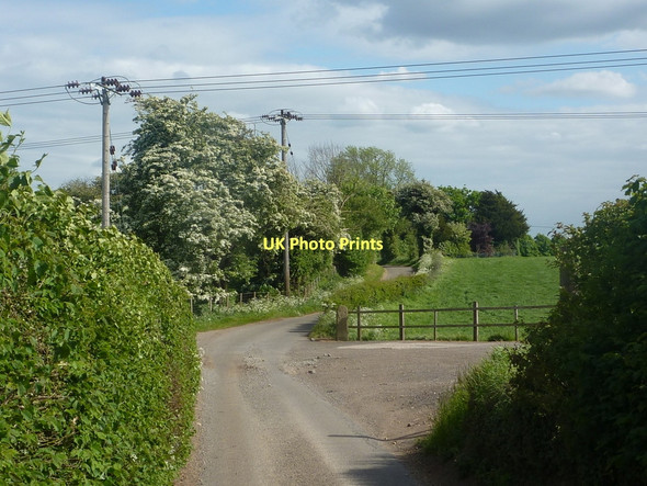 Photo 6"x4" Dumb Hall Lane past the entrance to the farm Darfoulds c2011