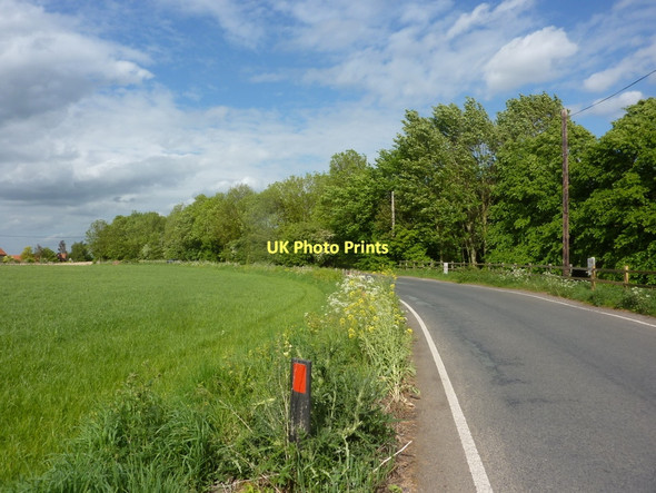 Photo 6"x4" Steetley Lane passing a line of trees Darfoulds c2011