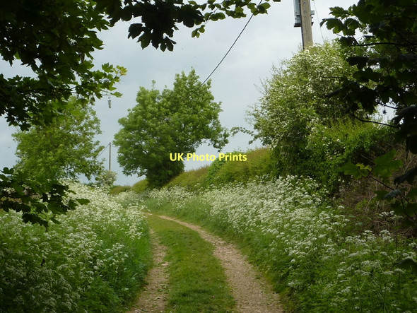 Photo 6"x4" Track, formerly Old Hall Lane Bakestone Moor c2011
