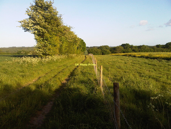 Photo 6"x4" Windmill Hill Axford\/SU6143 c2011